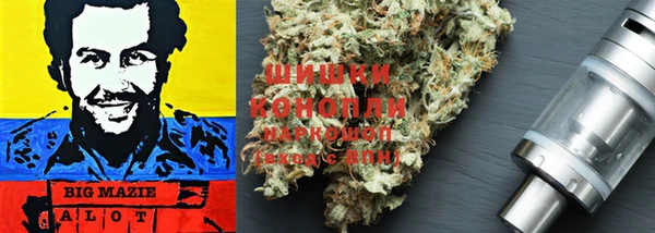 таблы Богородицк